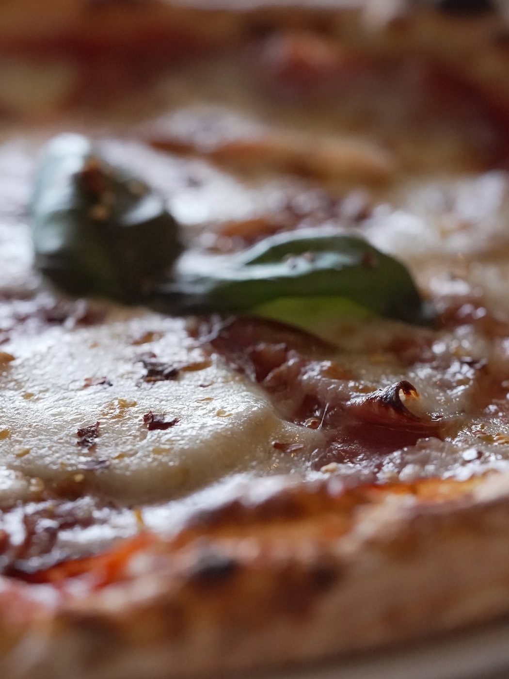 Close detail of a pizza with basil
